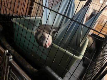 伊豆シャボテン動物公園に投稿された画像（2024/8/25）