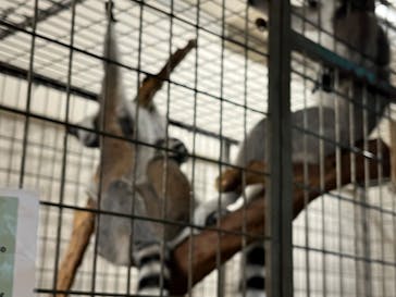 伊豆シャボテン動物公園に投稿された画像（2024/8/25）