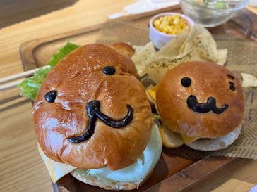 伊豆シャボテン動物公園に投稿された画像（2024/8/25）