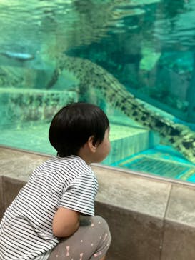 NIFREL（ニフレル）に投稿された画像（2024/8/25）