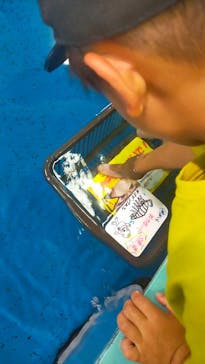 竹島水族館に投稿された画像（2024/8/25）