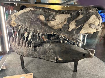 福井県立恐竜博物館に投稿された画像（2024/8/25）