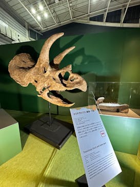 巨大恐竜展2024に投稿された画像（2024/8/25）