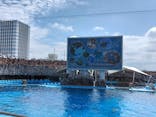 名古屋港水族館に投稿された画像（2024/8/25）