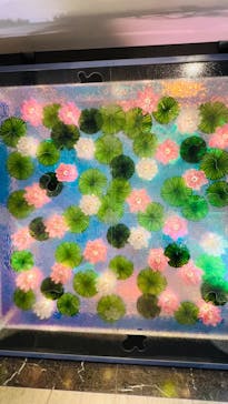 モネ＆フレンズ・アライブに投稿された画像（2024/8/25）