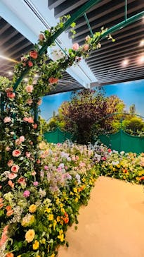 モネ＆フレンズ・アライブに投稿された画像（2024/8/25）