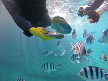 武藤潜水に投稿された画像（2024/8/25）