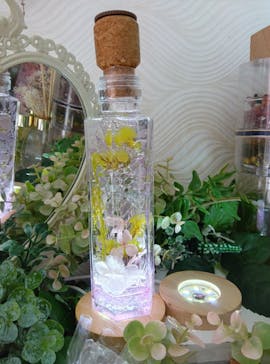 ずこうしつ〜sugamo〜に投稿された画像（2024/8/25）