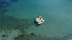 かすみパドルモンキーに投稿された画像（2024/8/25）