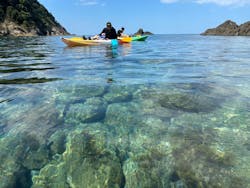 かすみパドルモンキーに投稿された画像（2024/8/25）