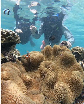 宮古島 ADVENTURE PiPi（ミヤコジマ アドベンチャー ピピ）に投稿された画像（2024/8/24）