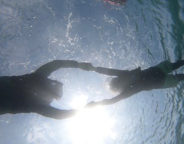 宮古島 ADVENTURE PiPi（ミヤコジマ アドベンチャー ピピ）に投稿された画像（2024/8/24）