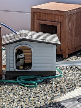 四国水族館に投稿された画像（2024/8/25）