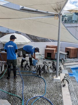 四国水族館に投稿された画像（2024/8/25）