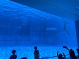 名古屋港水族館に投稿された画像（2024/8/25）