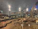 福井県立恐竜博物館に投稿された画像（2024/8/25）