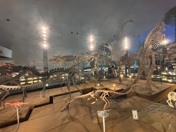 福井県立恐竜博物館に投稿された画像（2024/8/25）