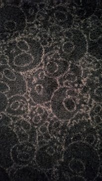 京都市美術館開館90周年記念展「村上隆 もののけ 京都」に投稿された画像（2024/8/25）