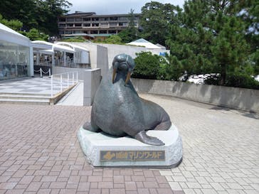 城崎マリンワールドに投稿された画像（2024/8/25）