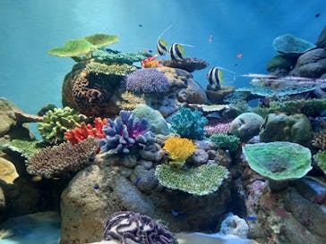 城崎マリンワールドに投稿された画像（2024/8/25）