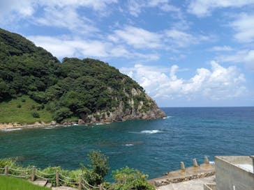 城崎マリンワールドに投稿された画像（2024/8/25）