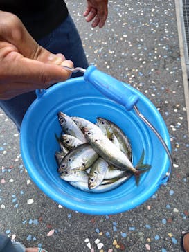 城崎マリンワールドに投稿された画像（2024/8/25）