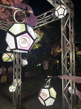 江の島シーキャンドルに投稿された画像（2024/8/25）