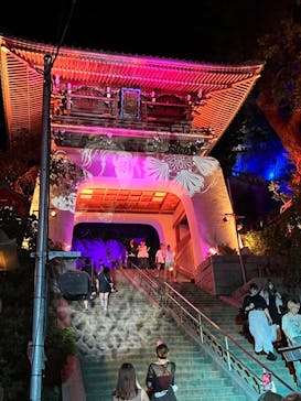 江の島シーキャンドルに投稿された画像（2024/8/25）