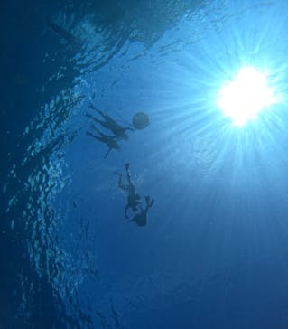 西表島 ADVENTURE PiPi（アドベンチャーピピ）に投稿された画像（2024/8/25）