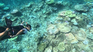 西表島 ADVENTURE PiPi（アドベンチャーピピ）に投稿された画像（2024/8/25）