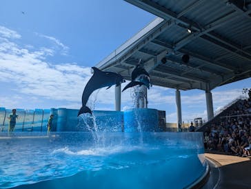 新江ノ島水族館に投稿された画像（2024/8/25）
