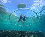 青の洞窟専門店　沖縄ダイビングショップ和に投稿された画像（2024/8/26）