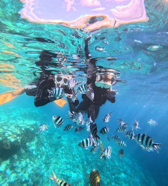 青の洞窟専門店　沖縄ダイビングショップ和に投稿された画像（2024/8/25）