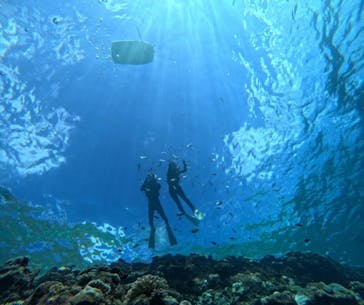 青の洞窟専門店　沖縄ダイビングショップ和に投稿された画像（2024/8/25）