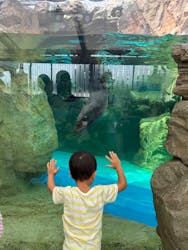 京都鉄道博物館×京都水族館に投稿された画像（2024/8/25）