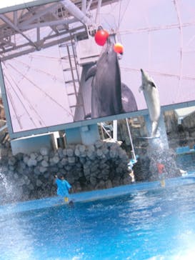 名古屋港水族館に投稿された画像（2024/8/25）