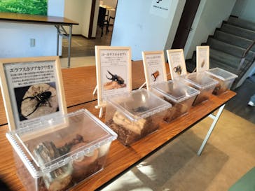 NESTA RESORT KOBE（ネスタリゾート神戸）に投稿された画像（2024/8/25）