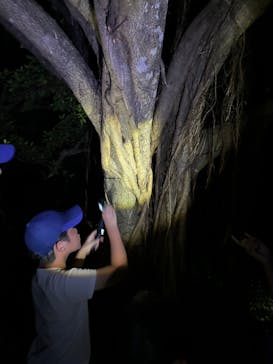 宮古島 ADVENTURE PiPi（ミヤコジマ アドベンチャー ピピ）に投稿された画像（2024/8/25）