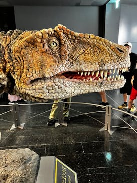 福井県立恐竜博物館に投稿された画像（2024/8/26）