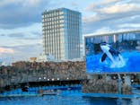 名古屋港水族館に投稿された画像（2024/8/26）