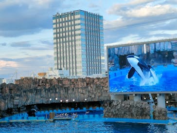 名古屋港水族館に投稿された画像（2024/8/26）