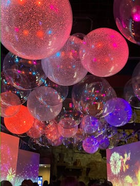 マクセル アクアパーク品川に投稿された画像（2024/8/26）