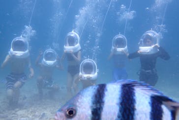 青の洞窟専門店 ブルーオーシャンに投稿された画像（2024/8/26）