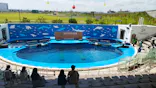 仙台うみの杜水族館に投稿された画像（2024/8/26）