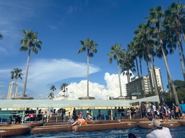 ナガシマスパーランドに投稿された画像（2024/8/26）