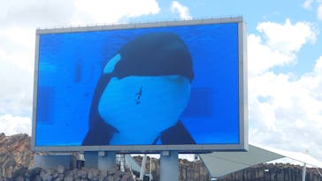 名古屋港水族館に投稿された画像（2024/8/26）