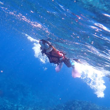 オレンジフィッシュに投稿された画像（2024/8/26）