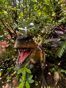 御菓子御殿　名護店　やんばる亜熱帯の森DINO恐竜PARKに投稿された画像（2024/8/26）