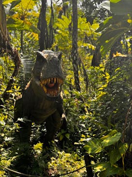 御菓子御殿　名護店　やんばる亜熱帯の森DINO恐竜PARKに投稿された画像（2024/8/26）