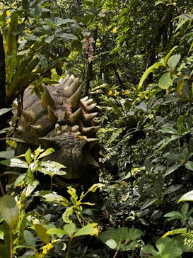 御菓子御殿　名護店　やんばる亜熱帯の森DINO恐竜PARKに投稿された画像（2024/8/26）